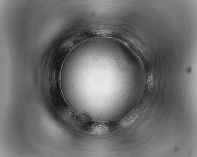 X0000099420572200805161048
