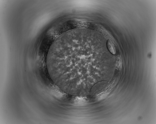 X0000099420573200805161048