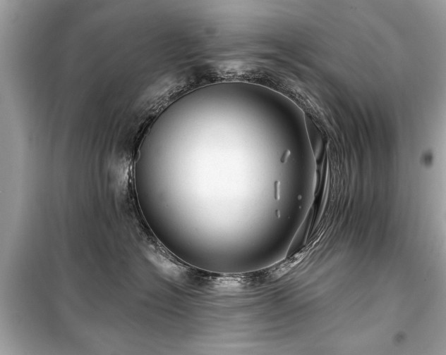 X0000099420574200805161048