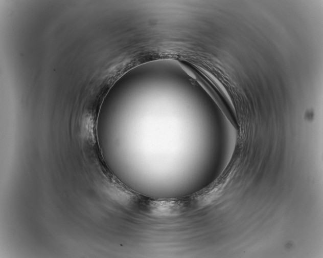 X0000099420575200805161048