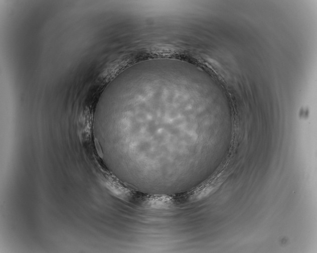 X0000099420576200805161048