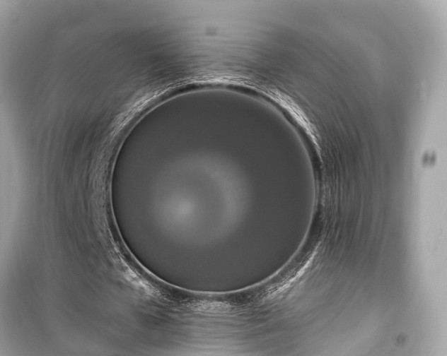 X0000099420577200805161048