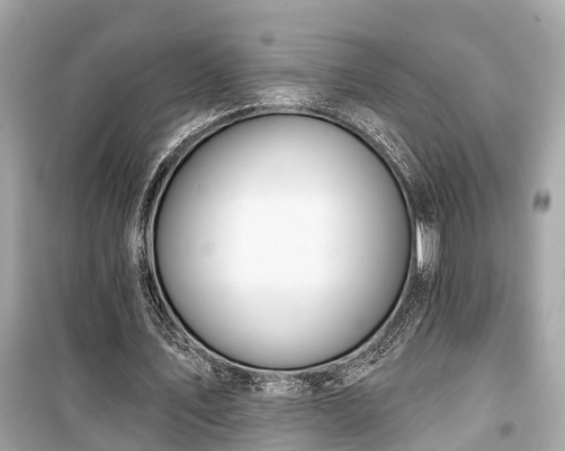 X0000099420579200805161048