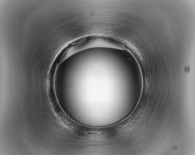 X0000099420580200805161048