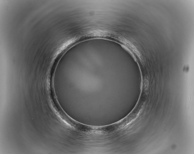 X0000099420581200805161048