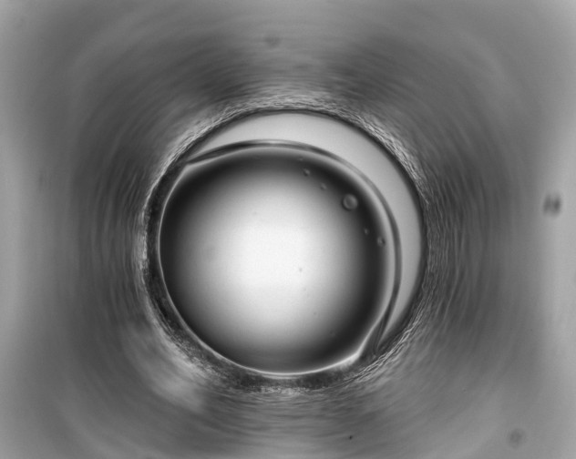 X0000099420582200805161048