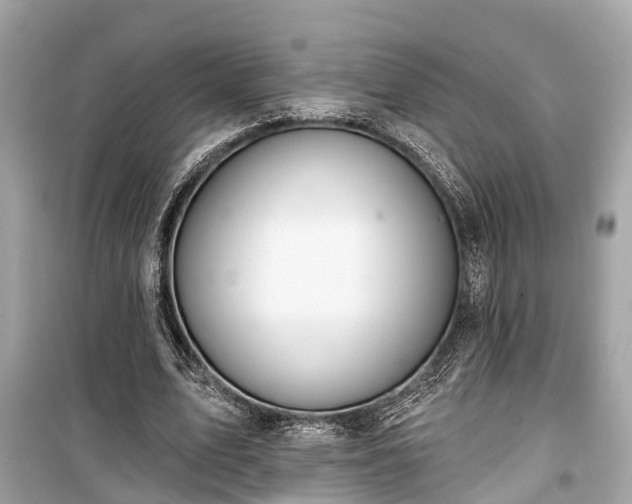 X0000099420583200805161048