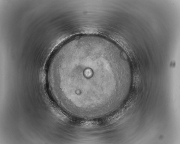 X0000099420584200805161048
