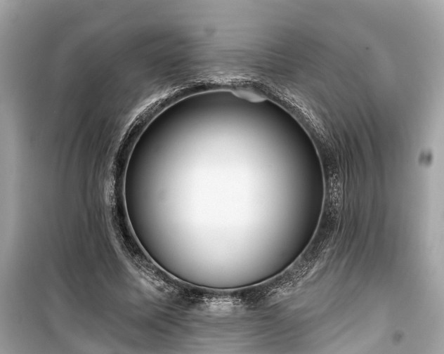X0000099420587200805161048