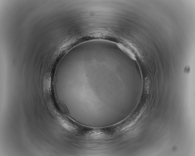 X0000099420589200805161048