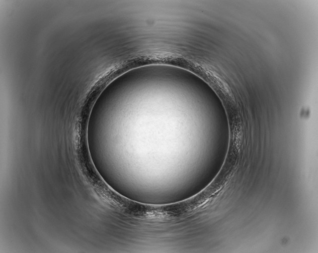 X0000099420591200805161048