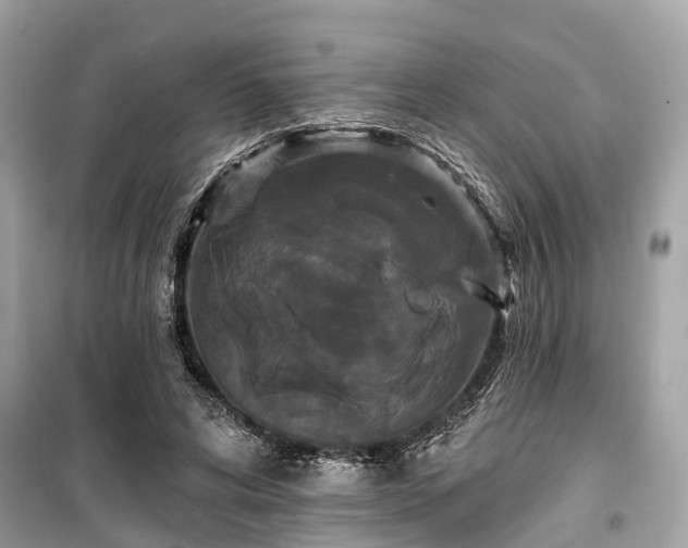 X0000099420592200805161048