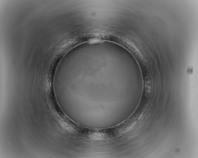 X0000099420593200805161048