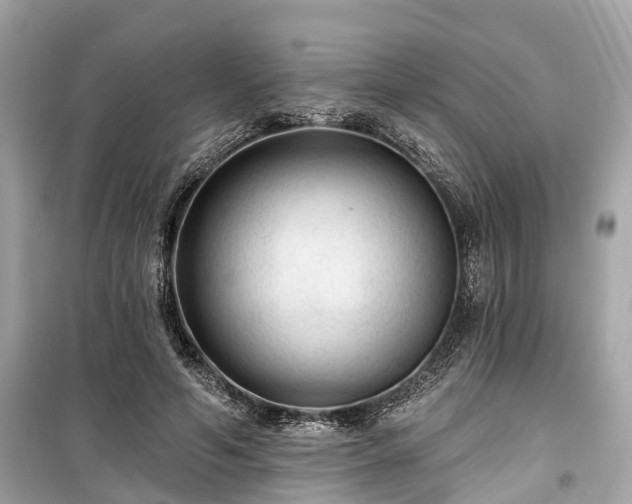 X0000099420594200805161048