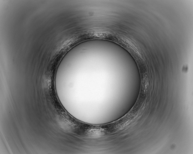 X0000099420595200805161048