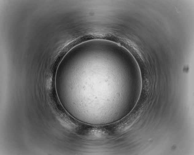 X0000099420596200805161048