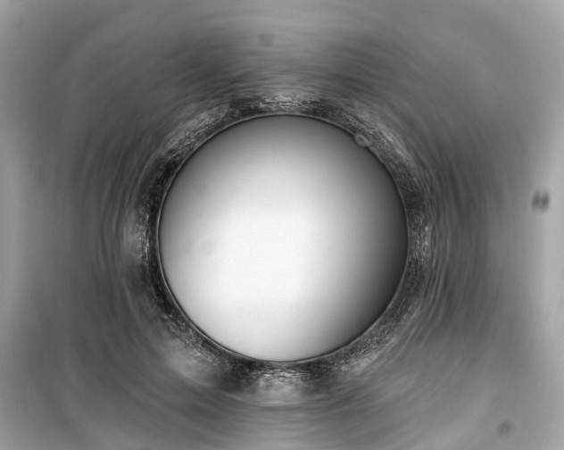 X0000099420599200805161047