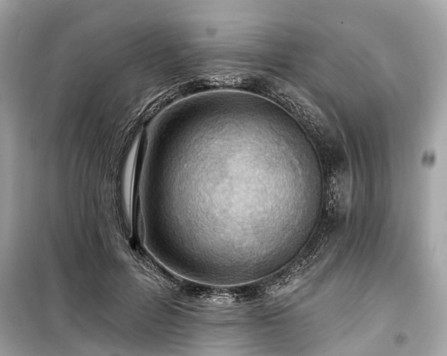 X0000099420600200805161047