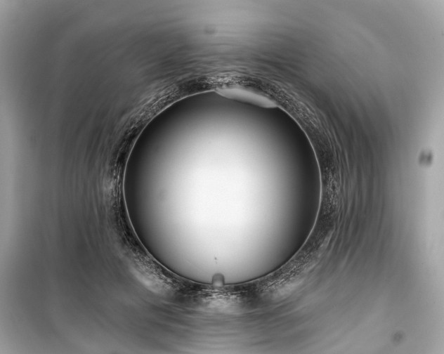 X0000099420601200805161047