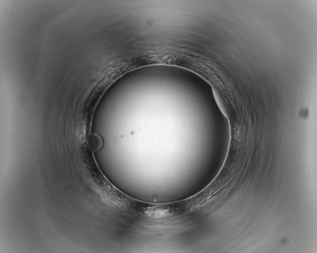 X0000099420602200805161047