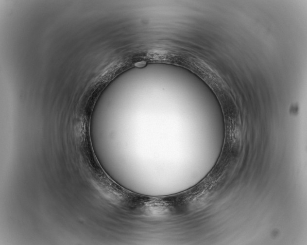 X0000099420603200805161047