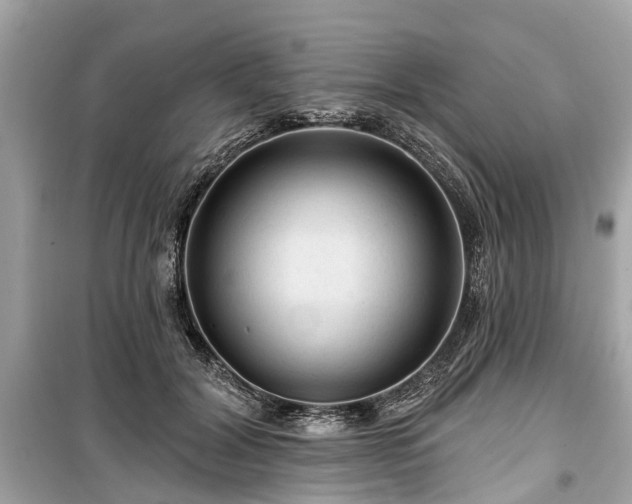 X0000099420604200805161047