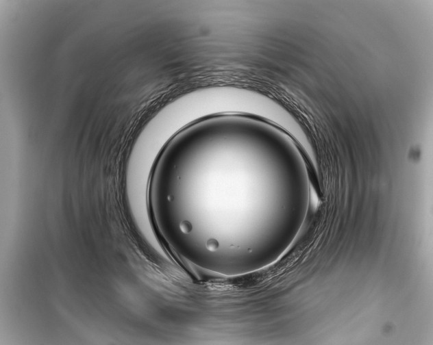 X0000099420605200805161047