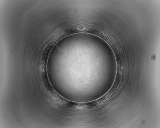 X0000099420606200805161047