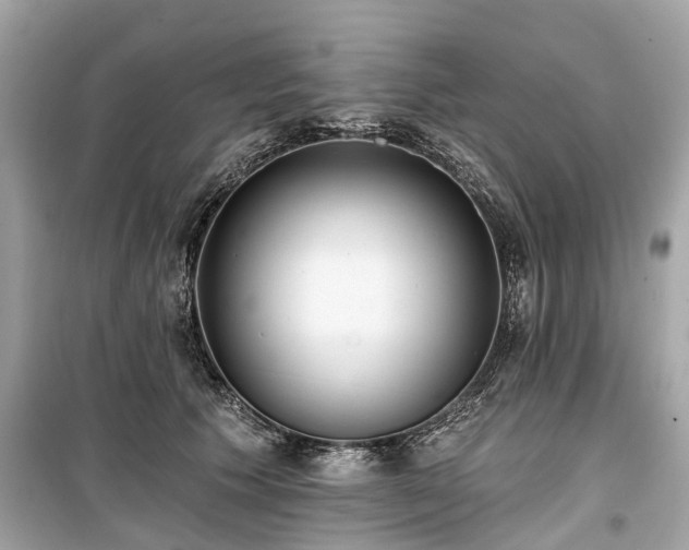 X0000099420609200805161047