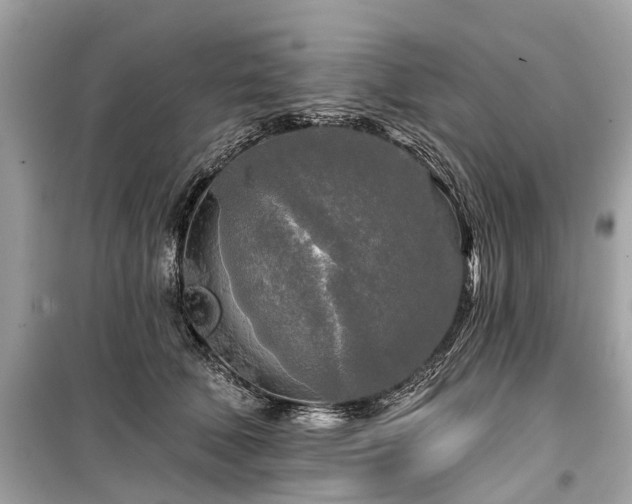 X0000099420610200805161047