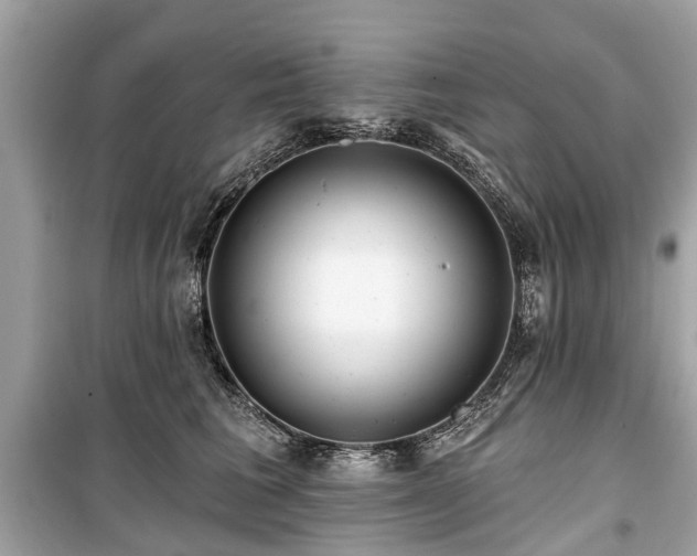X0000099420613200805161047
