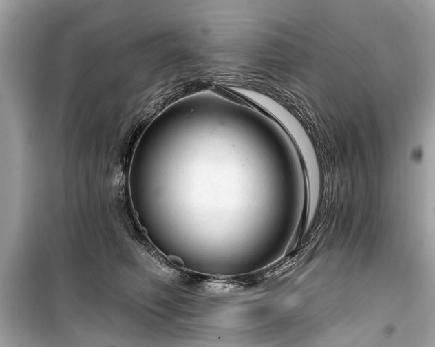 X0000099420614200805161047