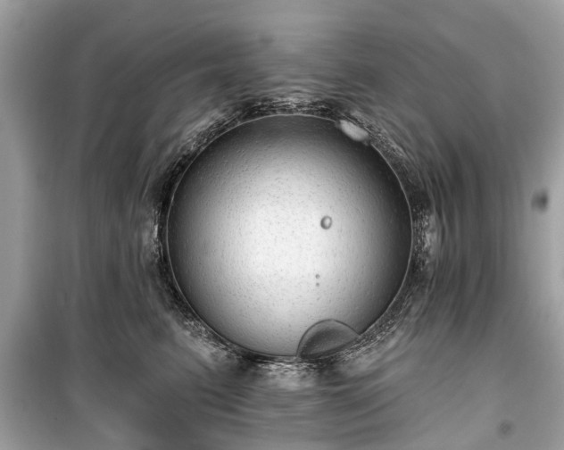 X0000099420615200805161047