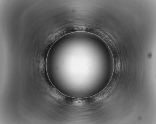 X0000099420616200805161047