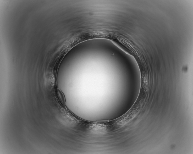 X0000099420617200805161047