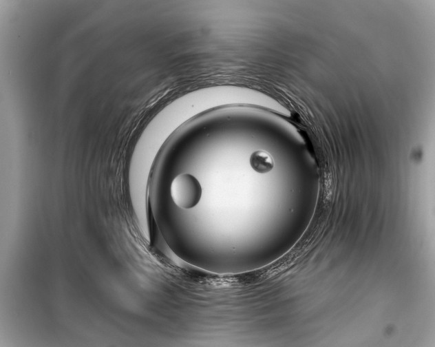 X0000099420618200805161047