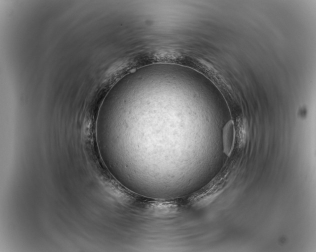 X0000099420619200805161047