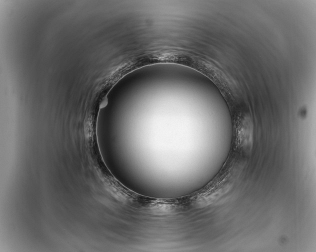 X0000099420620200805161047