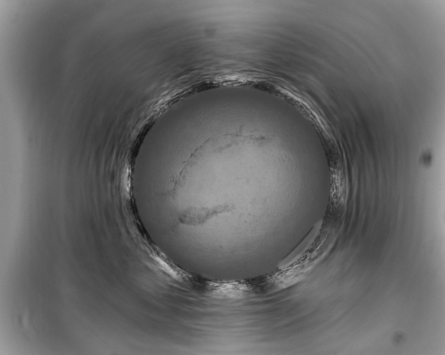 X0000099420621200805161047