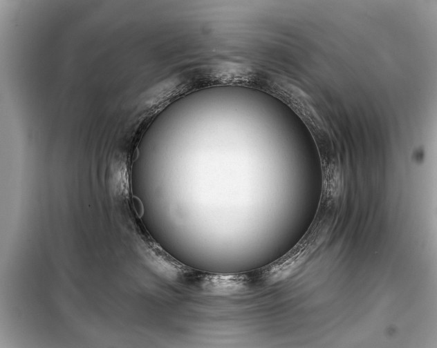 X0000099420622200805161047