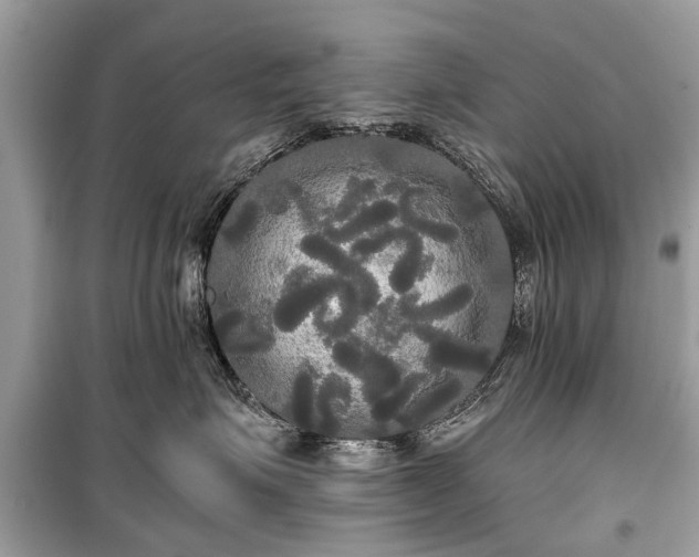 X0000099420623200805161047