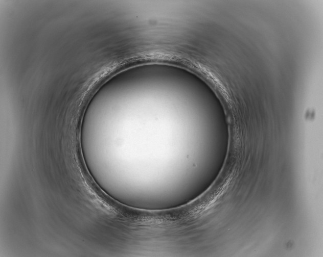X0000099420625200805161046