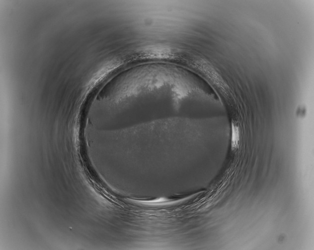 X0000099420627200805161046