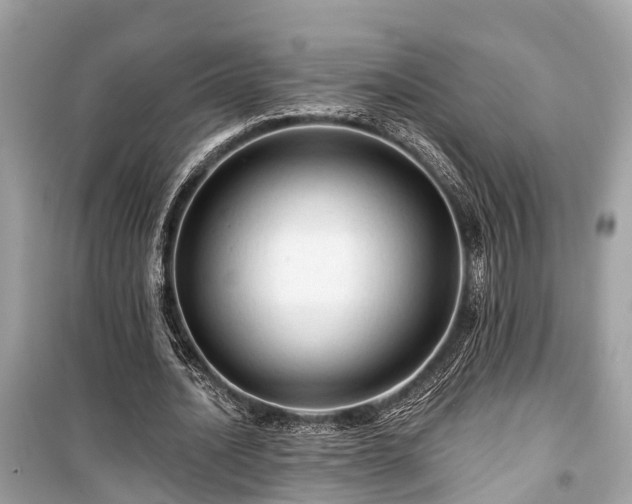 X0000099420628200805161047