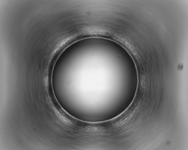 X0000099420629200805161047