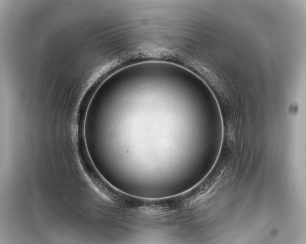 X0000099420630200805161047