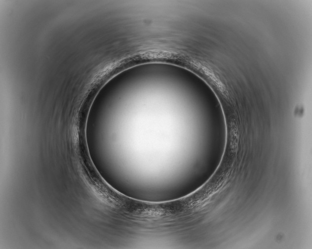 X0000099420631200805161047