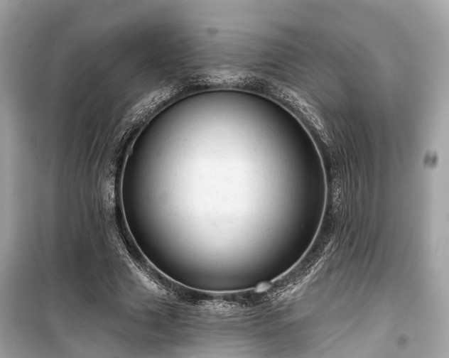 X0000099420633200805161047