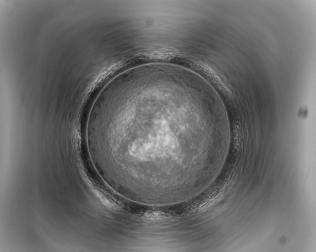 X0000099420634200805161047
