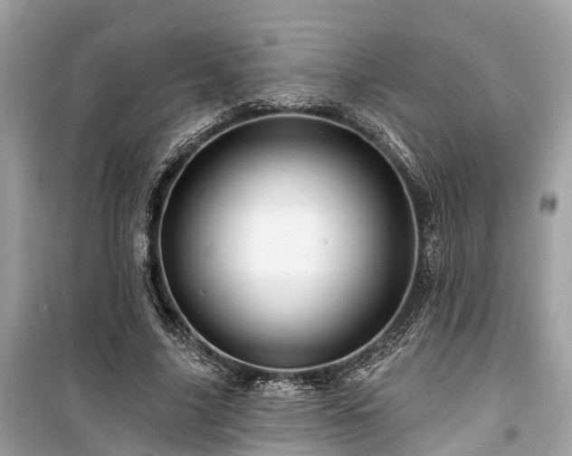 X0000099420635200805161047
